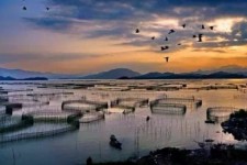 阳江伴游中国网景点丰富(旅游网介绍)
