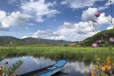阳江旅游游记(旅游游记怎么写)