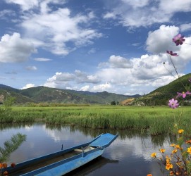 阳江旅游游记(旅游游记怎么写)
