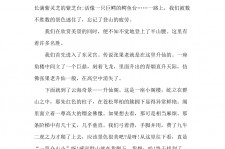 阳江旅游感想(张家界旅游感想)