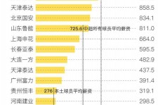 阳江关于伴游小丽中国足球的信息