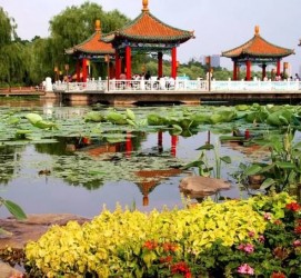 阳江长春旅游攻略(长春旅游攻略必去景点地图)