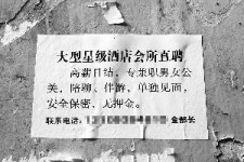 阳江珠海伴游雇用网(珠海游览社雇用信息)