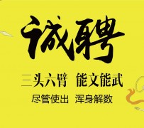 阳江私人伴游招聘 一线二线城市招聘大圈中圈小圈女孩商务模特佳丽女模名媛招聘高薪一单一结
