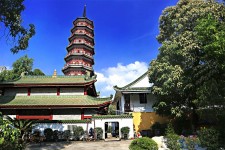 阳江广州自由行(广州 自由行)