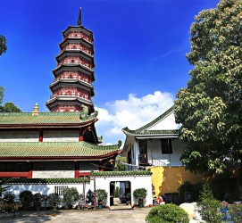 阳江广州自由行(广州 自由行)
