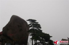 阳江上海伴游私家陪游雇用女模(上海伴游私家陪游雇用女模特)