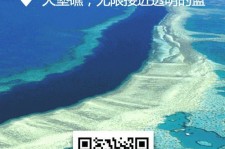 阳江中国250家旅行社结伴游新西兰(新西兰当地旅行社)