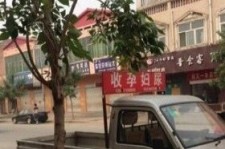 阳江上海伴游 用伴游造句大全(5