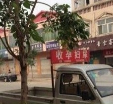 阳江上海伴游 用伴游造句大全(5