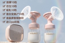 阳江奶模(奶模型)