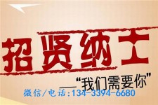 阳江酒店雇用伴游(酒店雇用伴游办事员)