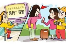 阳江伴游是什么