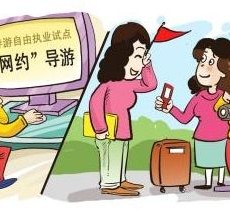 阳江伴游是什么