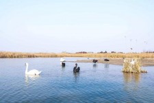阳江南昌附近伴游小妹兼职(1534939978姐的微信德惠市)
