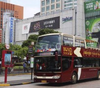 阳江上海私人伴游 上海过年怎么玩？这些“微游”线路了解下→