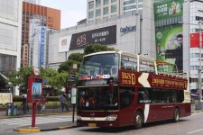阳江上海私人伴游 上海过年怎么玩？这些“微游”线路了解下→