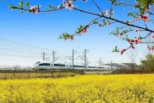 阳江高铁游(高铁游戏下载手机版)
