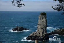 阳江旅游全攻略(上海旅游全攻略)