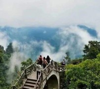 阳江二日游(二日游旅游攻略)