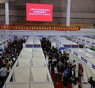 阳江上海伴游雇用无押金(上海伴游雇用无押金可靠吗)