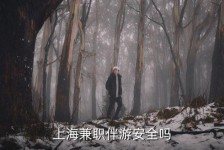 阳江上海私人伴游 上海伴游，上海兼职伴游安全吗