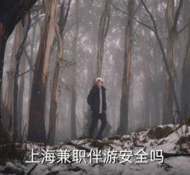 阳江上海私人伴游 上海伴游，上海兼职伴游安全吗