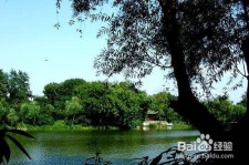 阳江西湖旅游攻略(上海到杭州西湖旅游攻略)