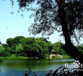 阳江西湖旅游攻略(上海到杭州西湖旅游攻略)