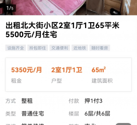阳江私人伴游是什么 “过年租友”陷阱：骗财与色情服务