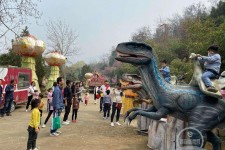 阳江中国伴游带你打卡网红南山竹海(南山竹海网上预约)