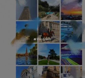 阳江伴游中国网说的地方(旅游伴游中国)