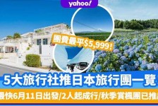 阳江旅游价格(旅游价格机制)