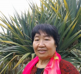 阳江白叟带老伴游半个中国(白叟外出旅游)