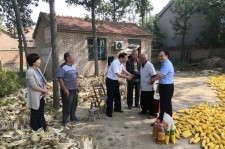 阳江关于宋叔带老伴游中国的信息