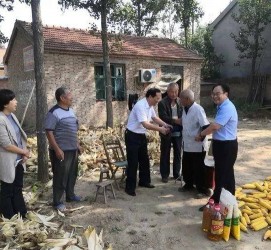阳江关于宋叔带老伴游中国的信息