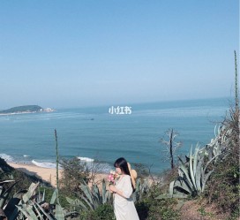 阳江厦门周边游(厦门及周边旅游攻略)