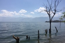阳江洱海旅游攻略(洱海旅游攻略自由行)