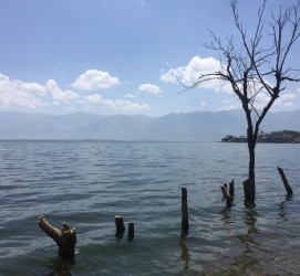 阳江洱海旅游攻略(洱海旅游攻略自由行)