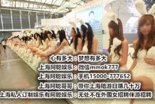 阳江雇用旅游男伴游(北京商务酒店雇用伴游)