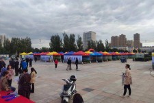 阳江通辽伴游雇用(哈尔滨伴游雇用)