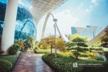 阳江杭州外围伴游雇用(杭州外围雇用经纪人)