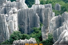 阳江贵阳市游览社英语伴游雇用(贵阳市前十名游览社是哪几家)
