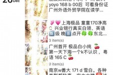 阳江外围伴游雇用圈套(雇用伴游什么样子的是实的)