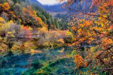阳江四川旅游攻略(四川旅游攻略十五日游)