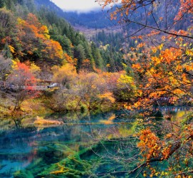 阳江四川旅游攻略(四川旅游攻略十五日游)