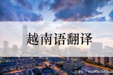 阳江越南翻译兼职伴游(在越南怎样找私人翻译)