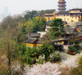 阳江南京周边游(南京周边游景点大全 自驾车旅游)