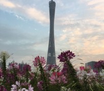 阳江广州旅游攻略(杭州到广州旅游攻略)