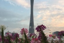 阳江广州旅游攻略(杭州到广州旅游攻略)